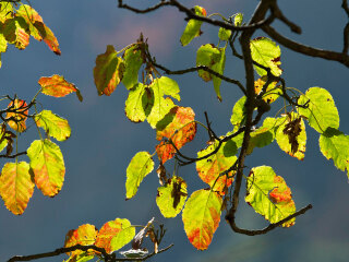 陕西天竺山国家森林公园