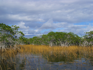 大沼泽国家公园