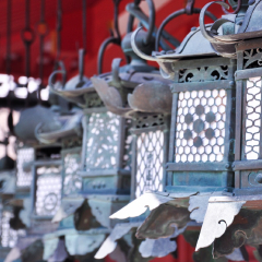 春日大社的#旅图换旅费# #名胜古迹# #殿堂庙宇#