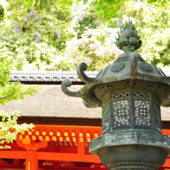 春日大社的#旅图换旅费# #名胜古迹# #殿堂庙宇#