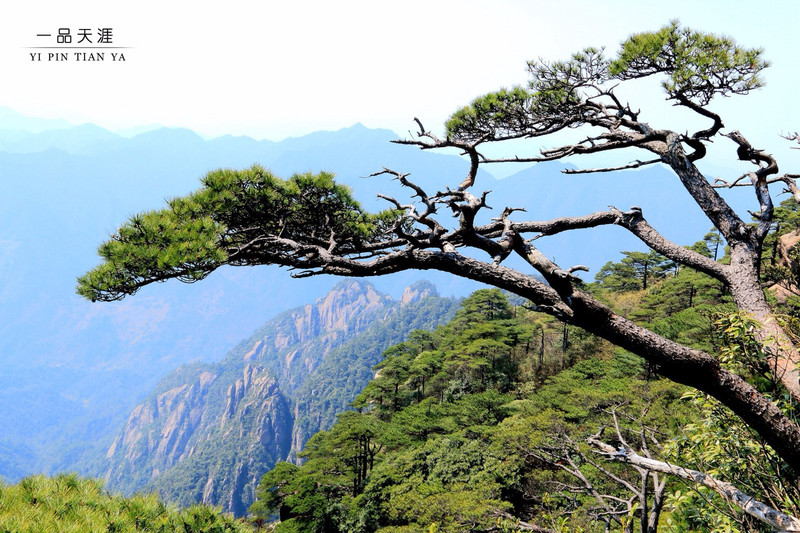 三清山我心中的道教名山中国国家地理眼中的最美峰林