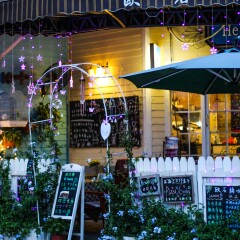 荷兰花卉小镇的#旅图换旅费#