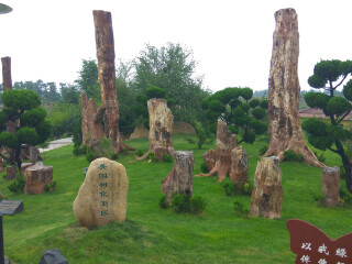 莱阳白垩纪国家地质公园