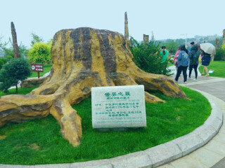 莱阳白垩纪国家地质公园