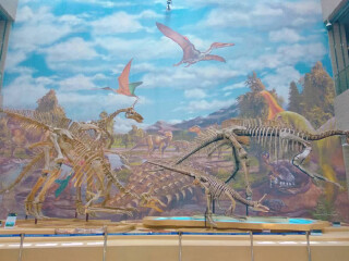 莱阳白垩纪地质博物馆