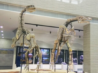 莱阳白垩纪地质博物馆