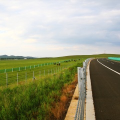 坝上草原