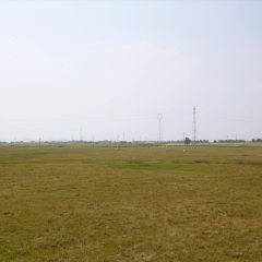 坝上草原