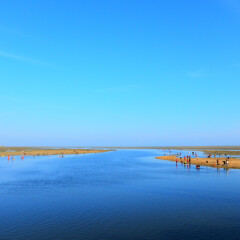 北海红树林的#旅图换旅费#