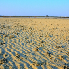 北海红树林的#旅图换旅费#