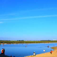 北海红树林的#旅图换旅费#