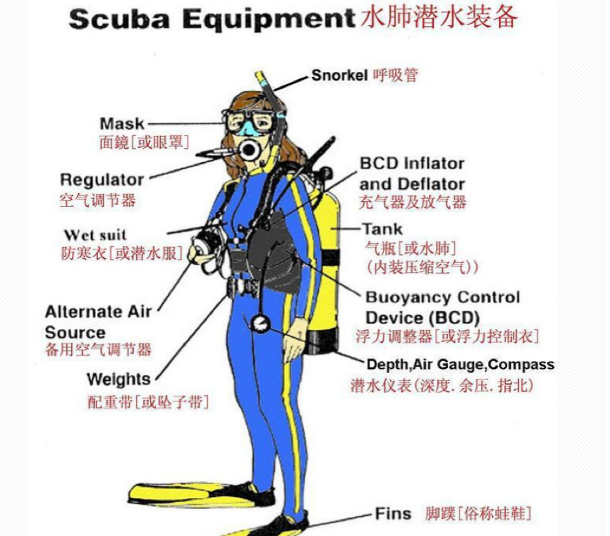 一个女生的沙巴仙本那ow aow潜水考证&肆意游玩之旅!双诞