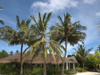 安娜塔拉薇莉岛