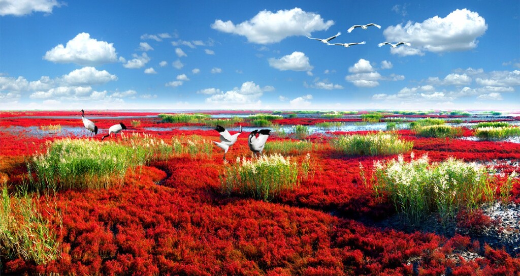 大连-营口-红海滩-丹东-本溪6日游-途牛