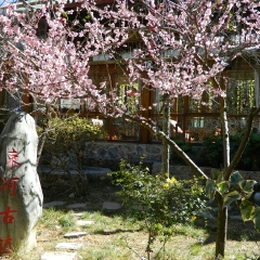 束河古镇的#旅图换旅费#