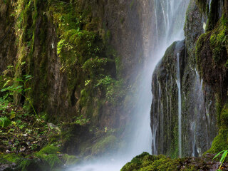 神农架国家森林公园
