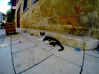 安塔利亚哈德良门