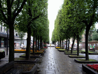 考纳斯自由大道