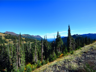 奥林匹克国家公园