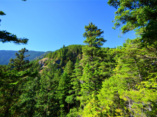 奥林匹克国家公园