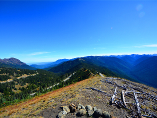 奥林匹克国家公园