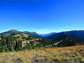 奥林匹克国家公园