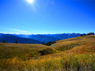 奥林匹克国家公园