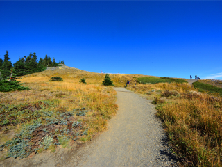 奥林匹克国家公园