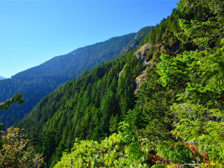 奥林匹克国家公园