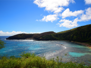 恐龙湾自然保护区