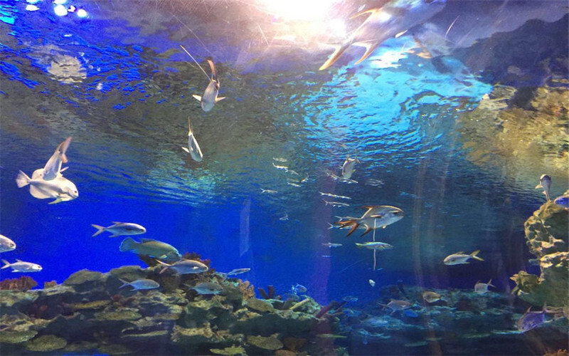 三月去杭州极地海洋公园旅游必备物品_三月去杭州极地海洋公园旅游