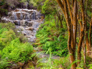 地狱之门地热公园