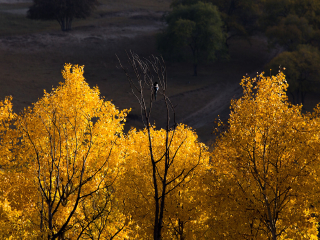 桦木沟国家森林公园