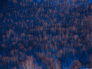 桦木沟国家森林公园