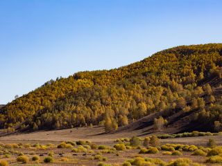 桦木沟国家森林公园