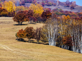 桦木沟国家森林公园
