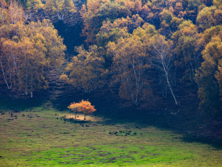 桦木沟国家森林公园