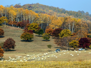 桦木沟国家森林公园
