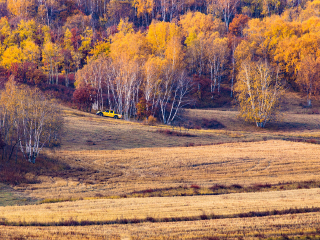 桦木沟国家森林公园