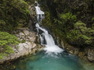基奈峡湾国家公园