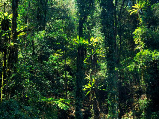 雷明顿国家公园