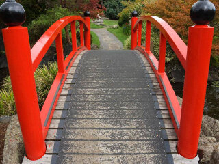 塔斯马尼亚皇家植物园