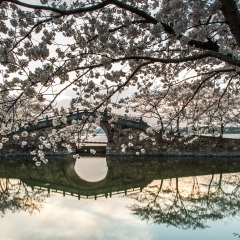 太湖