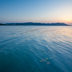 太湖