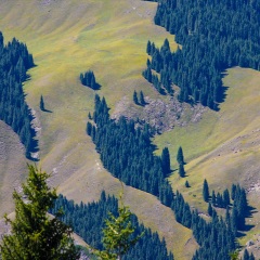 天山