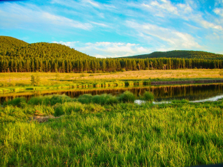 塞罕坝国家森林公园