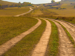 塞罕坝国家森林公园