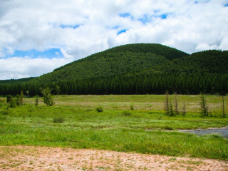 塞罕坝国家森林公园