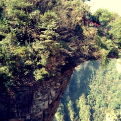 张家界国家森林公园的#旅图换旅费#