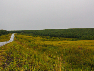 塞罕坝机械林场